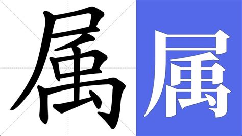 属 meaning|属